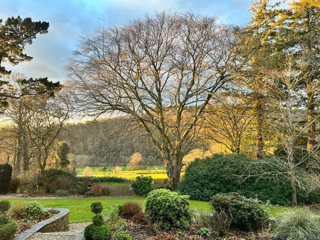 Maristow Cottages, Overlook Tamar Valley Dartmoor Plymouth Bagian luar foto