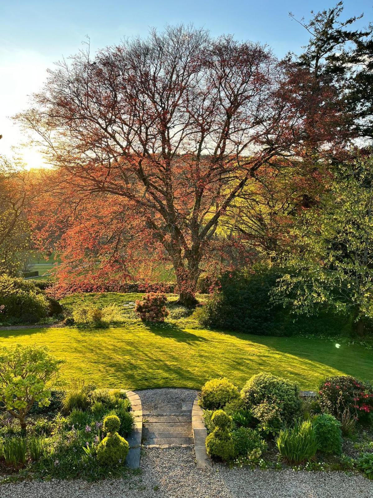 Maristow Cottages, Overlook Tamar Valley Dartmoor Plymouth Bagian luar foto