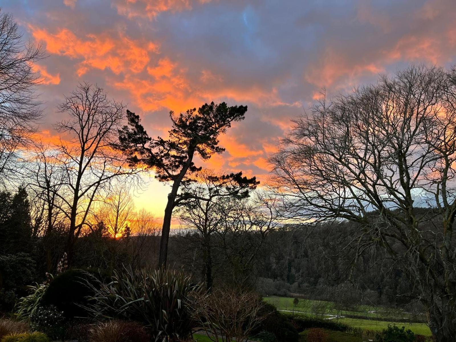 Maristow Cottages, Overlook Tamar Valley Dartmoor Plymouth Bagian luar foto